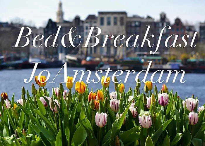 Jo Amsterdam