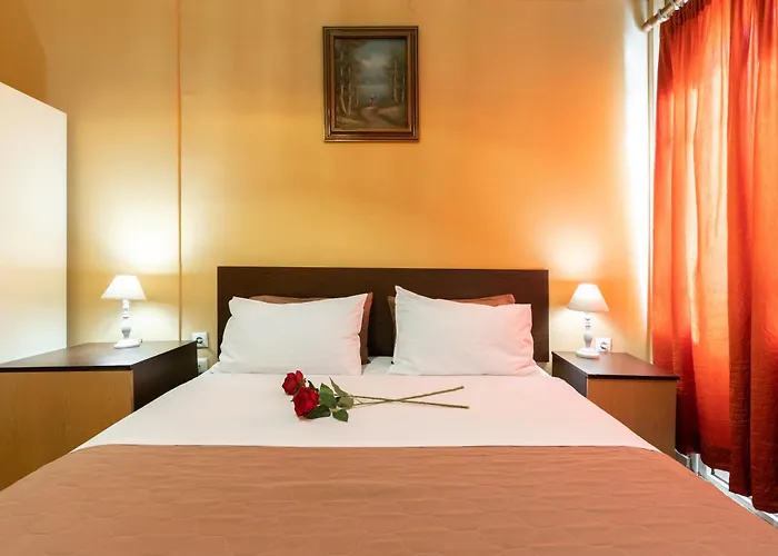 Pets Allowed Hotel Alexandria