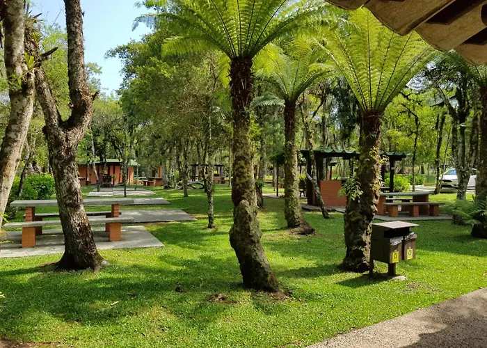 Parque Do Sesi