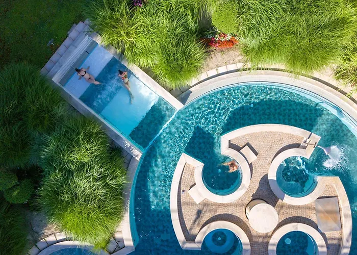 Huisdiervriendelijk hotel: Hotel Lyon Metropole & Spa