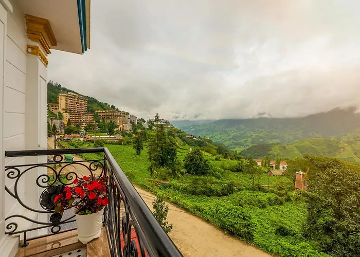 Huisdiervriendelijk hotel: Sapa Praha Hotel