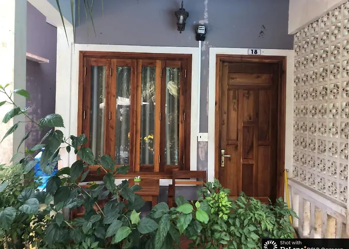 Gecko House