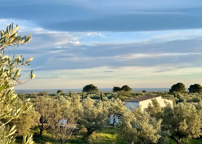 Hotel con vistas: Can Mimosa