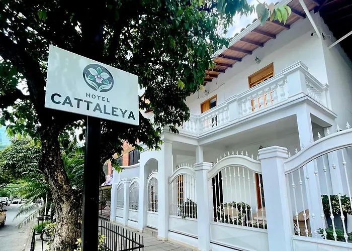 Cattaleya City