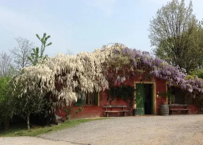 Casa vacanza: Agriturismo Cascina degli Ulivi