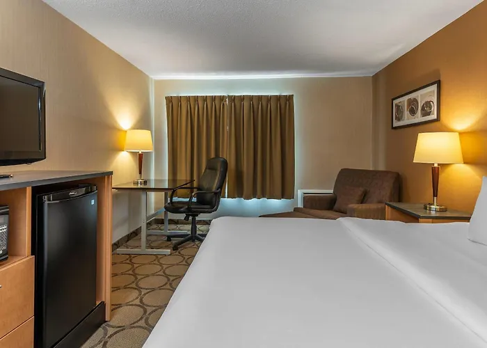Pet Friendly hotel: Comfort Inn West