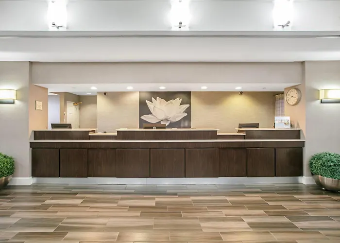 3 star hotels La Quinta By Wyndham Dfw Airport South / Irving