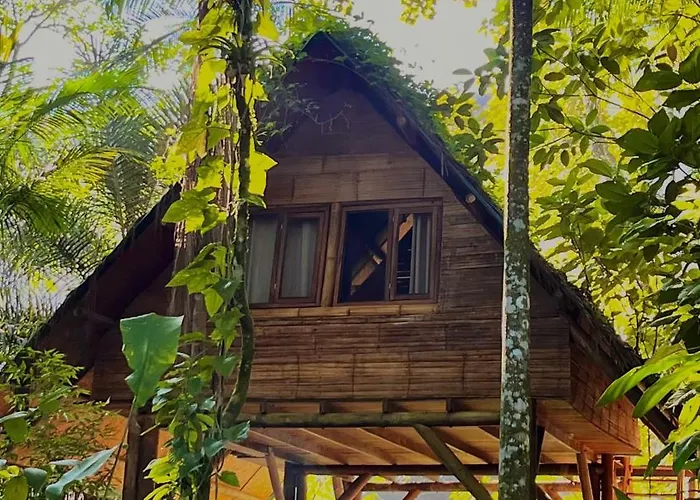  Sitio Simple Life