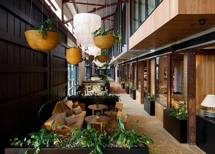 Luxury hotel only: 1 Hotel Melbourne