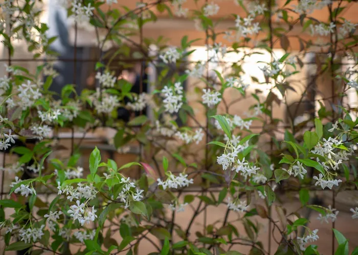 Hotel familiar: Hotel La Couleuvrine Sarlat Centre Ville