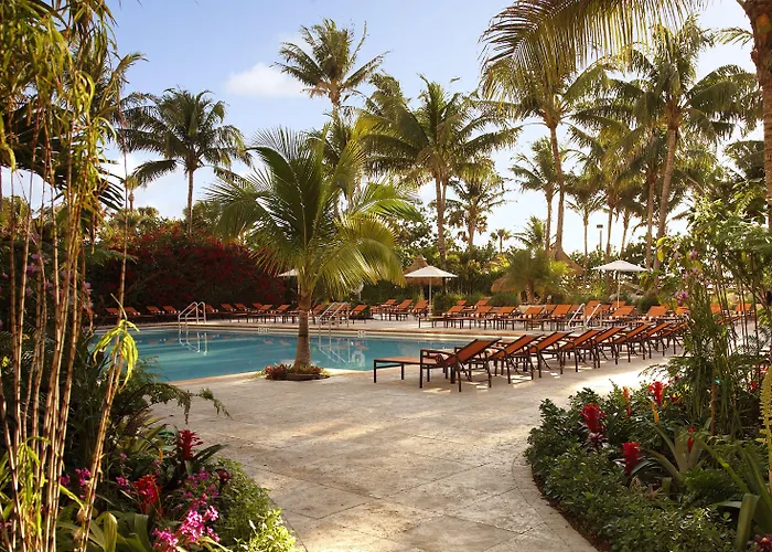 Palms & Spa