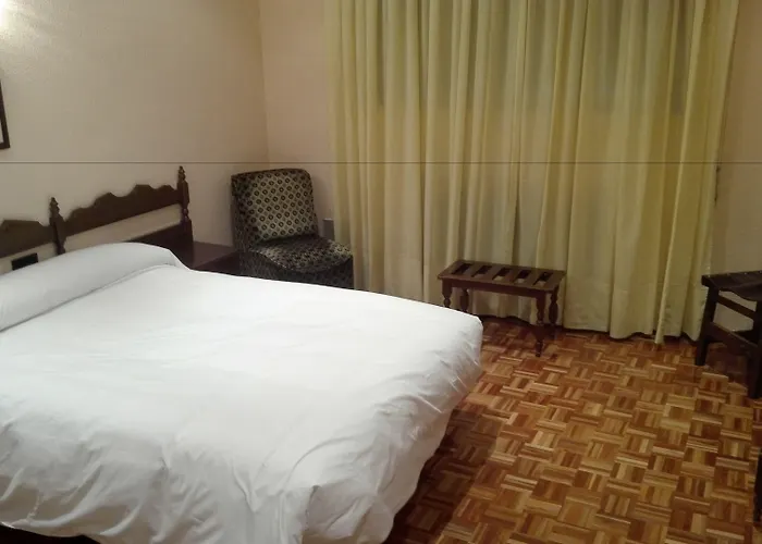 Hotel que admite mascotas: Hotel Castellano Centro