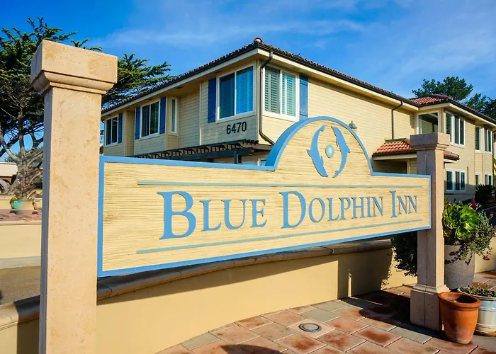 Blue Dolphin