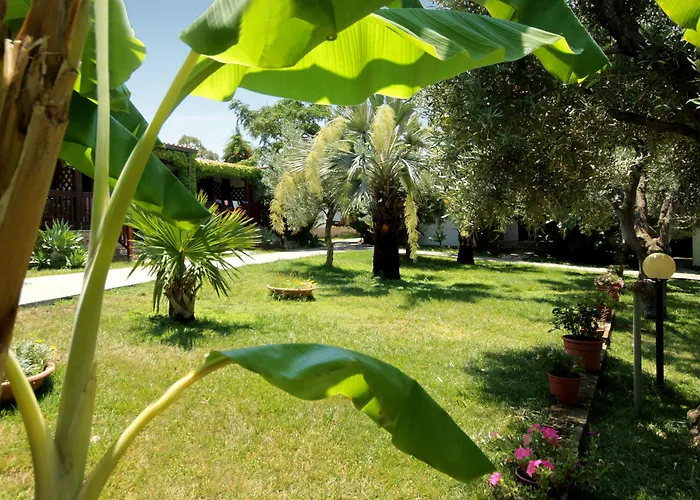 Tonicello Resort&SPA