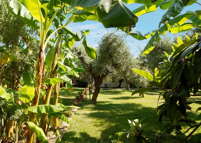 Tonicello Resort&SPA