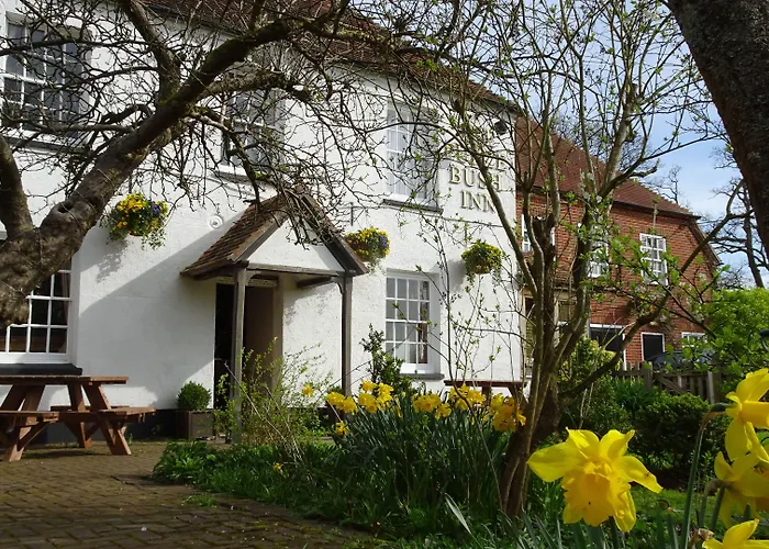 Hotel with view: The Furze Bush Inn