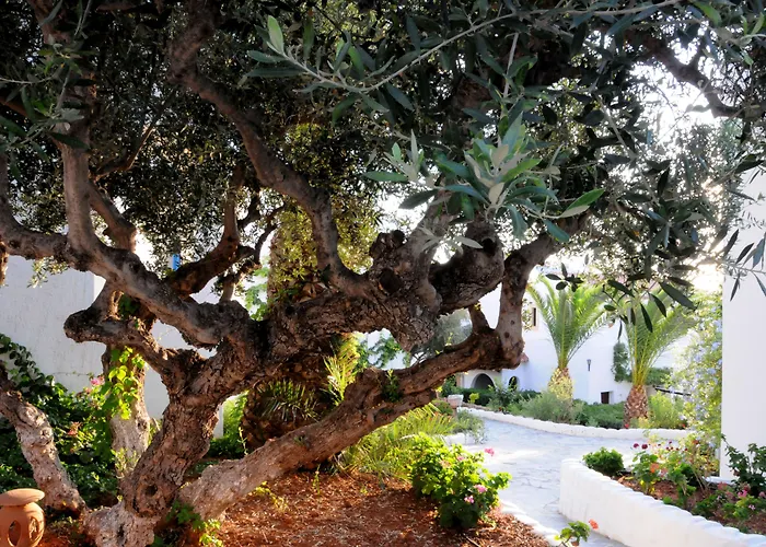 Familiehotel: Hersonissos Village Hotel & Bungalows