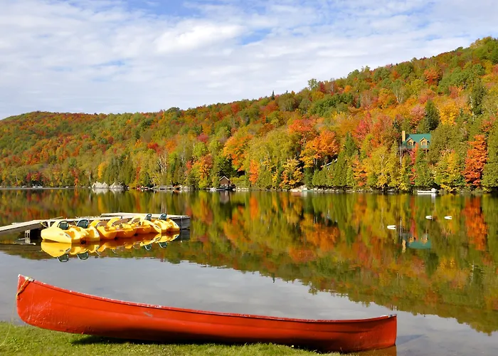 Dog friendly hotels Le Boise Du Lac