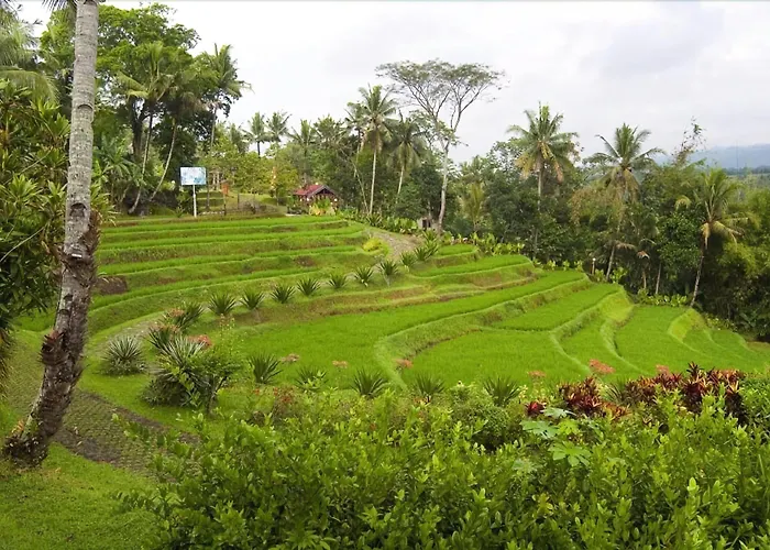 Puri Asri & Resort
