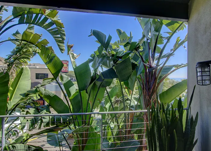 Hotel with view: The M Malibu