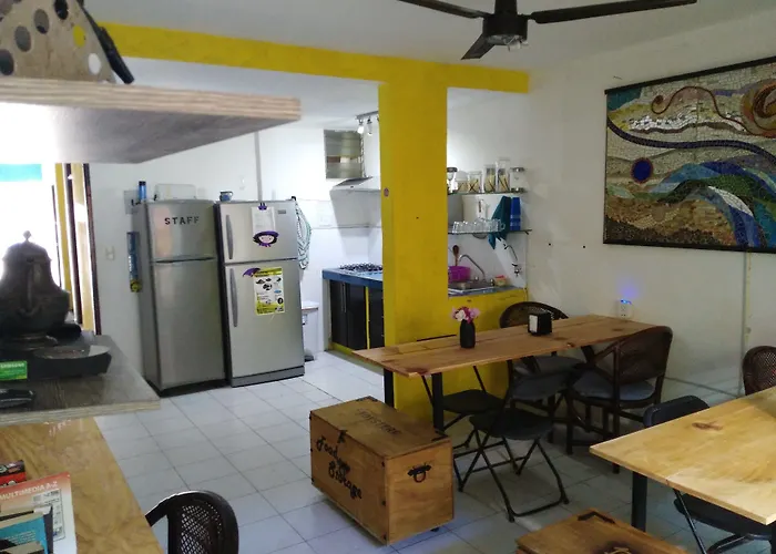 Guest house: Oyster Hostel