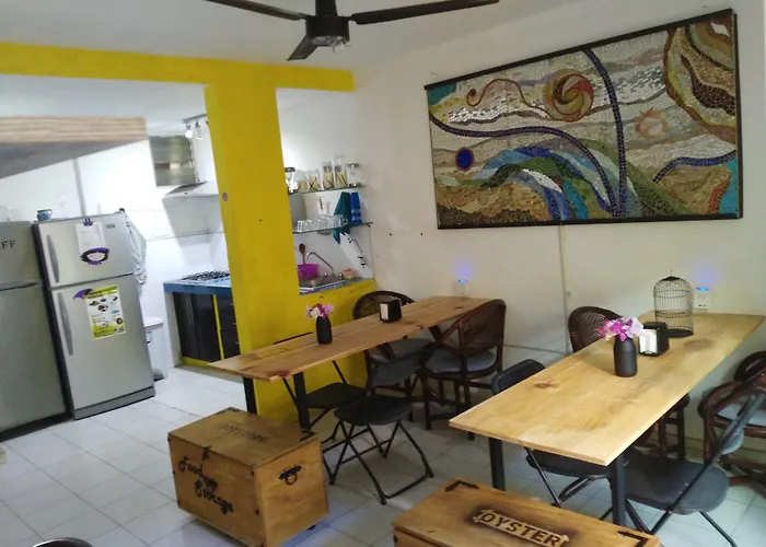 Guest house: Oyster Hostel
