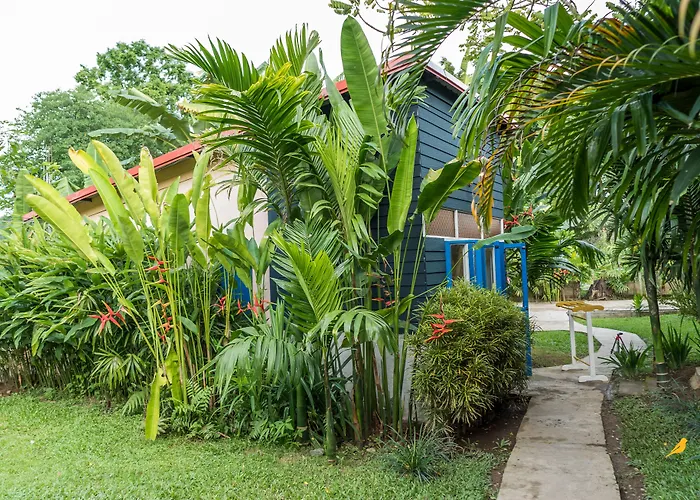 Guest house: Canary Guesthouse