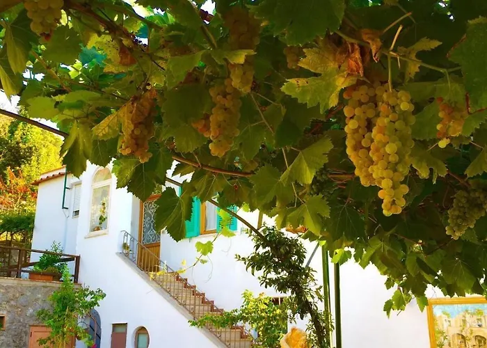 Albergo centrale: B&B Il Grappolo