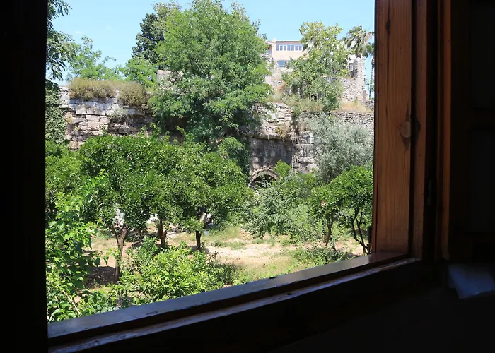 Hotel barato: Otel Wood House