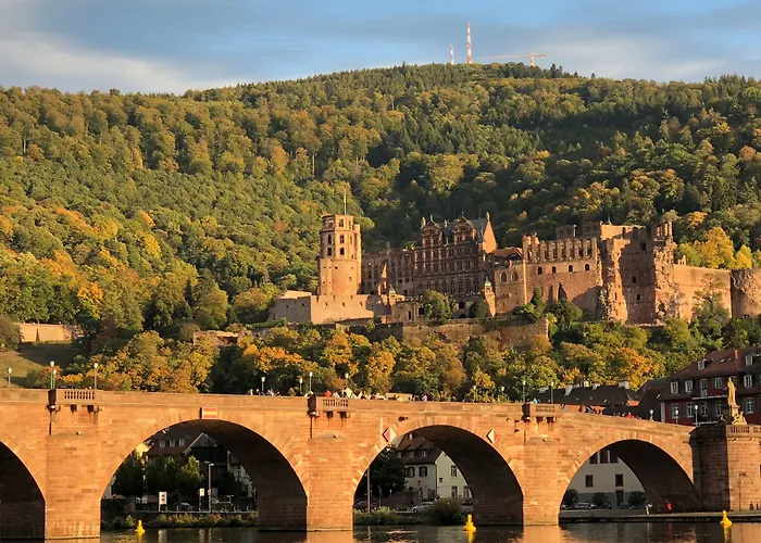 Hotel: Boardinghotel Heidelberg