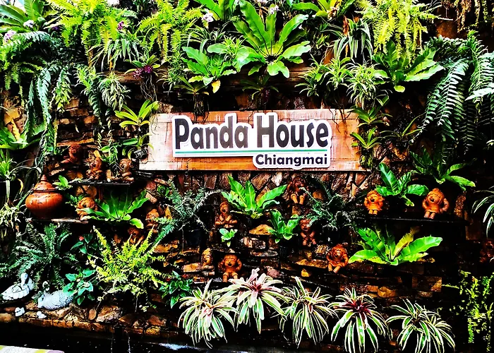  Panda House Chiang Mai