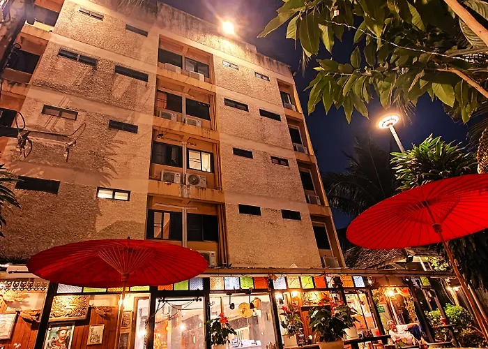  Panda House Chiang Mai