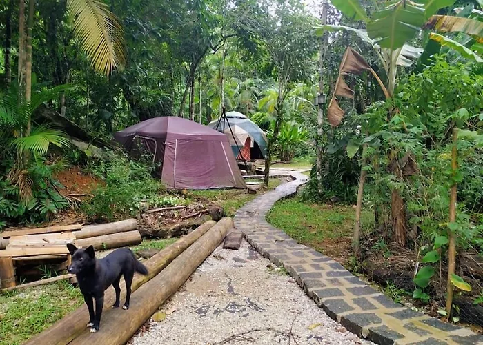  Sitio Simple Life