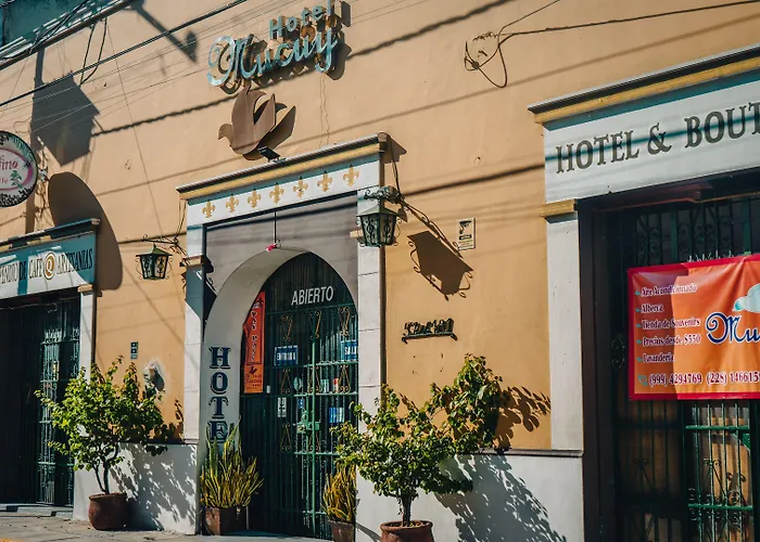 Perros hoteles Mucuy