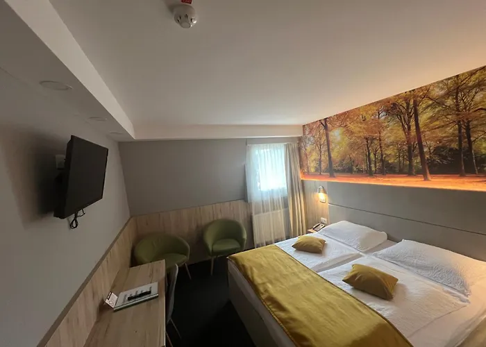 Hotel vicino al College: Hotel Alpina