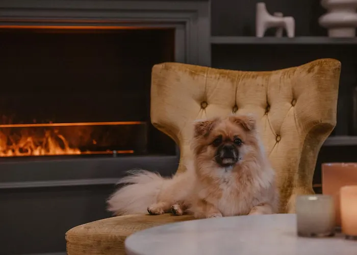 Home Kung Oscar