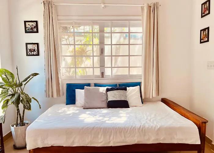 Dog friendly hotels Bamboo Cottages