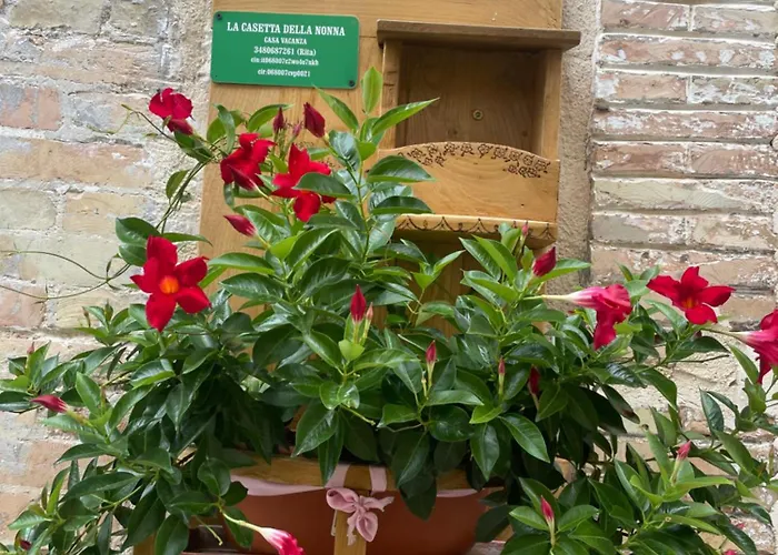 Hotel adatto agli animali: La casetta della nonna