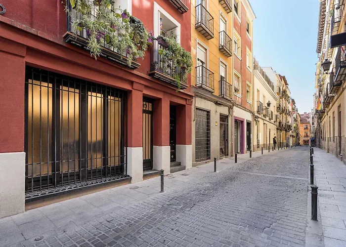 Oso Madrid