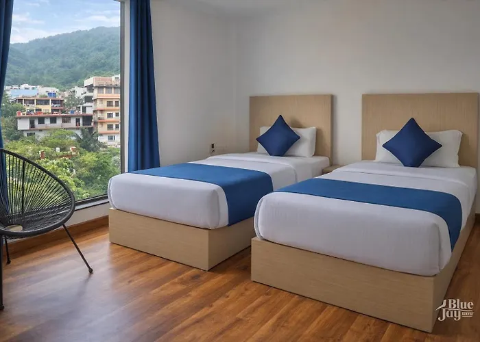 The Hostels Blue Jay - Dorms & Rooms