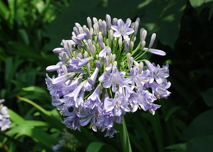 Hotel with view: Villa Della Pergola Relais Et Chateaux