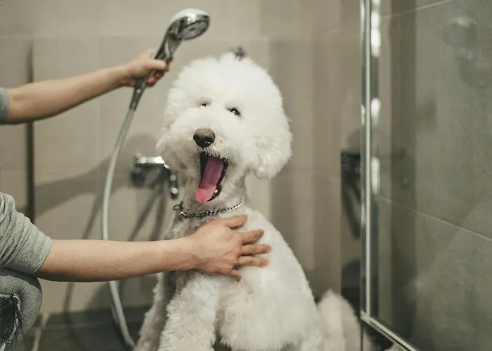 Hyatt Regency Hakone Resort And Spa