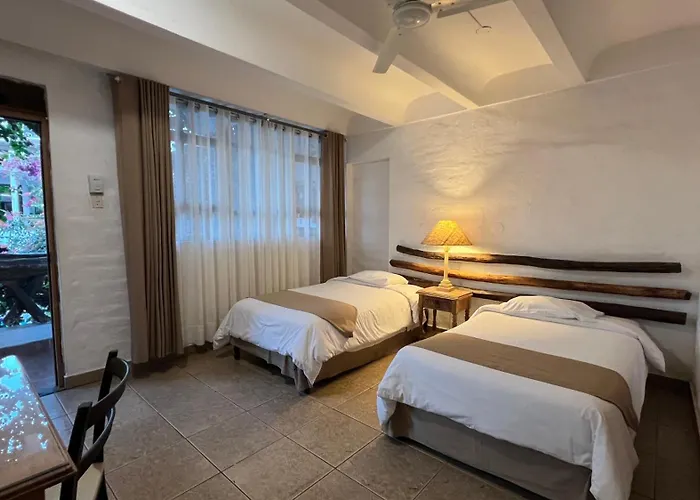 Perros hoteles Sol De