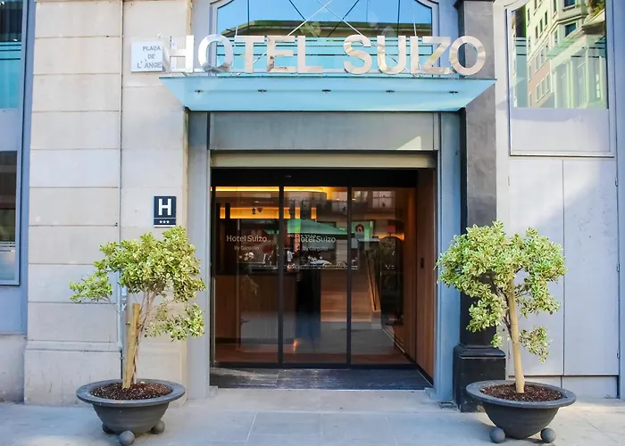 Hôtel accueillant les animaux: Hotel Suizo