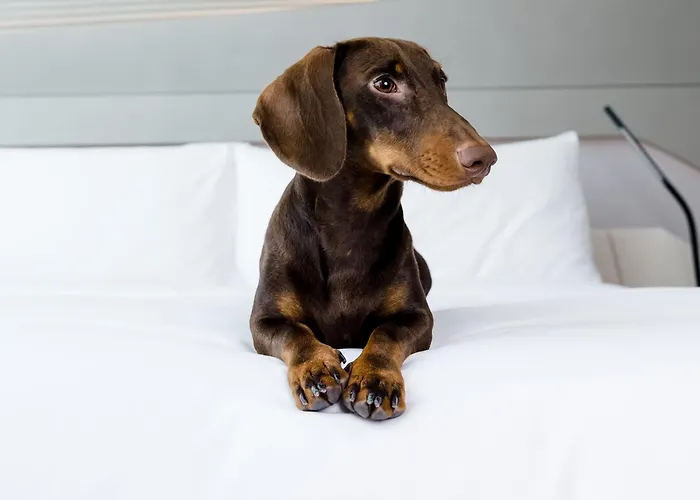 Hotel Barcelona Condal Mar Affiliated By Melia