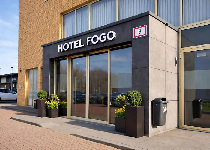 Fogo Amsterdam