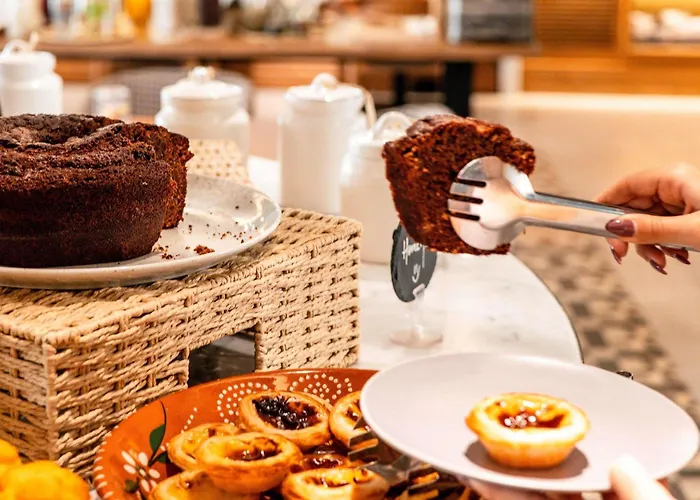 Dog friendly hotels Mercure Porto Centro Aliados