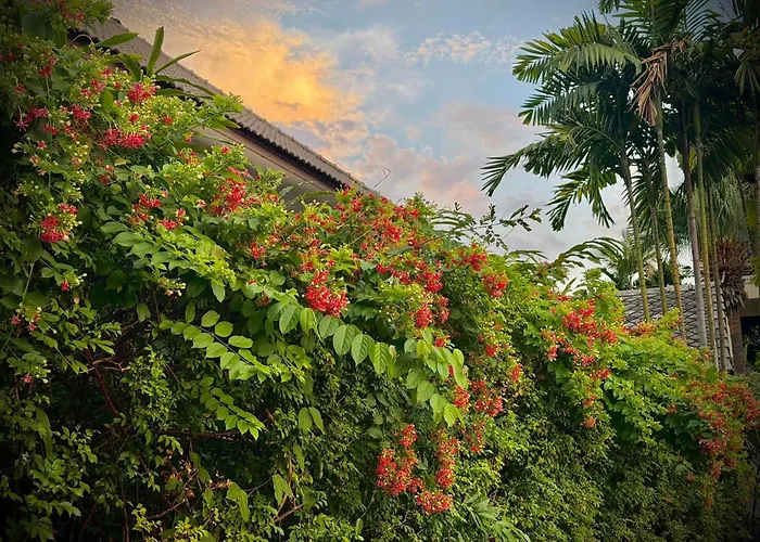 Shewe Wana Boutique Hotel (Adults Only)