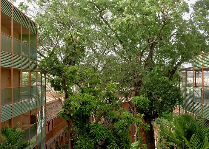  Kimpton Las Mercedes By Ihg
