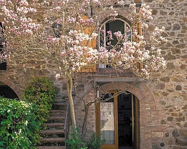  La Magnolia